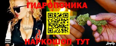 эйфоретик Донской