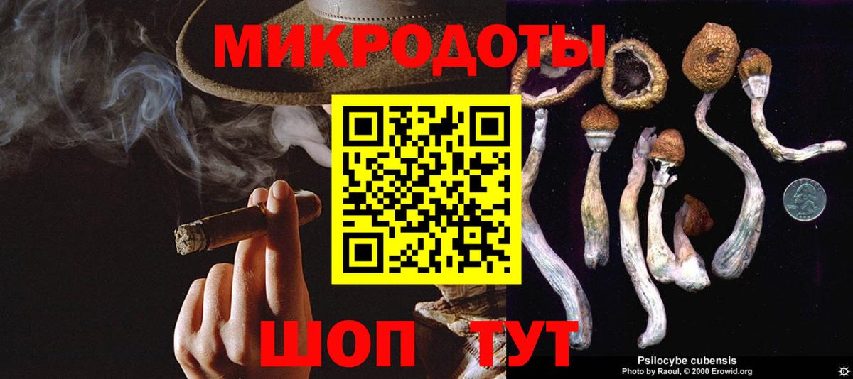 Галлюциногенные грибы Magic Shrooms Дятьково