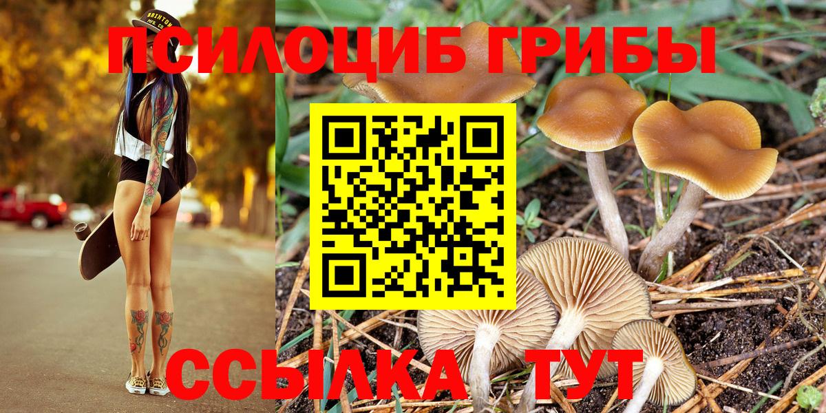 Галлюциногенные грибы Cubensis  Вход с VPN  Дятьково  Псилоцибиновые грибы мухоморы 